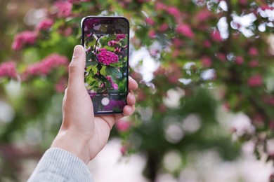 Photo of Man using plant recognition application on smartphone outdoors, closeup. Space for text