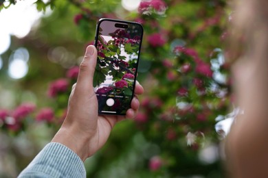 Photo of Man using plant recognition application on smartphone outdoors, closeup