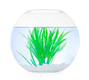 Photo of Glass aquarium with clear water, fake plant and rocks isolated on white