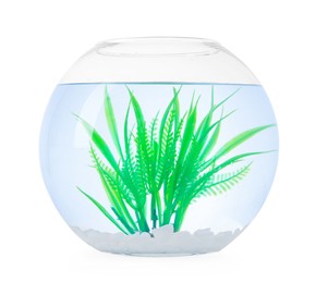 Photo of Glass aquarium with clear water, fake plant and rocks isolated on white