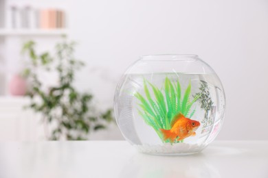 Photo of Gold fish swimming in aquarium with clean water on white table indoors, space for text