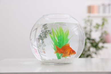 Photo of Gold fish swimming in aquarium with clean water on white table indoors