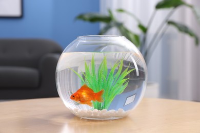 Photo of Gold fish swimming in aquarium with clean water on wooden table indoors