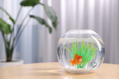 Photo of Gold fish swimming in aquarium with clean water on wooden table indoors, space for text