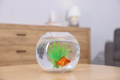 Photo of Gold fish swimming in aquarium with clean water on wooden table indoors