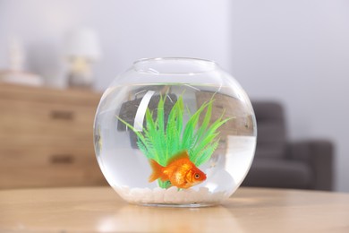 Photo of Gold fish swimming in aquarium with clean water on wooden table indoors