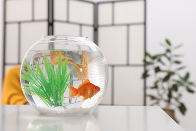 Photo of Gold fish swimming in aquarium with clean water on white table indoors, space for text