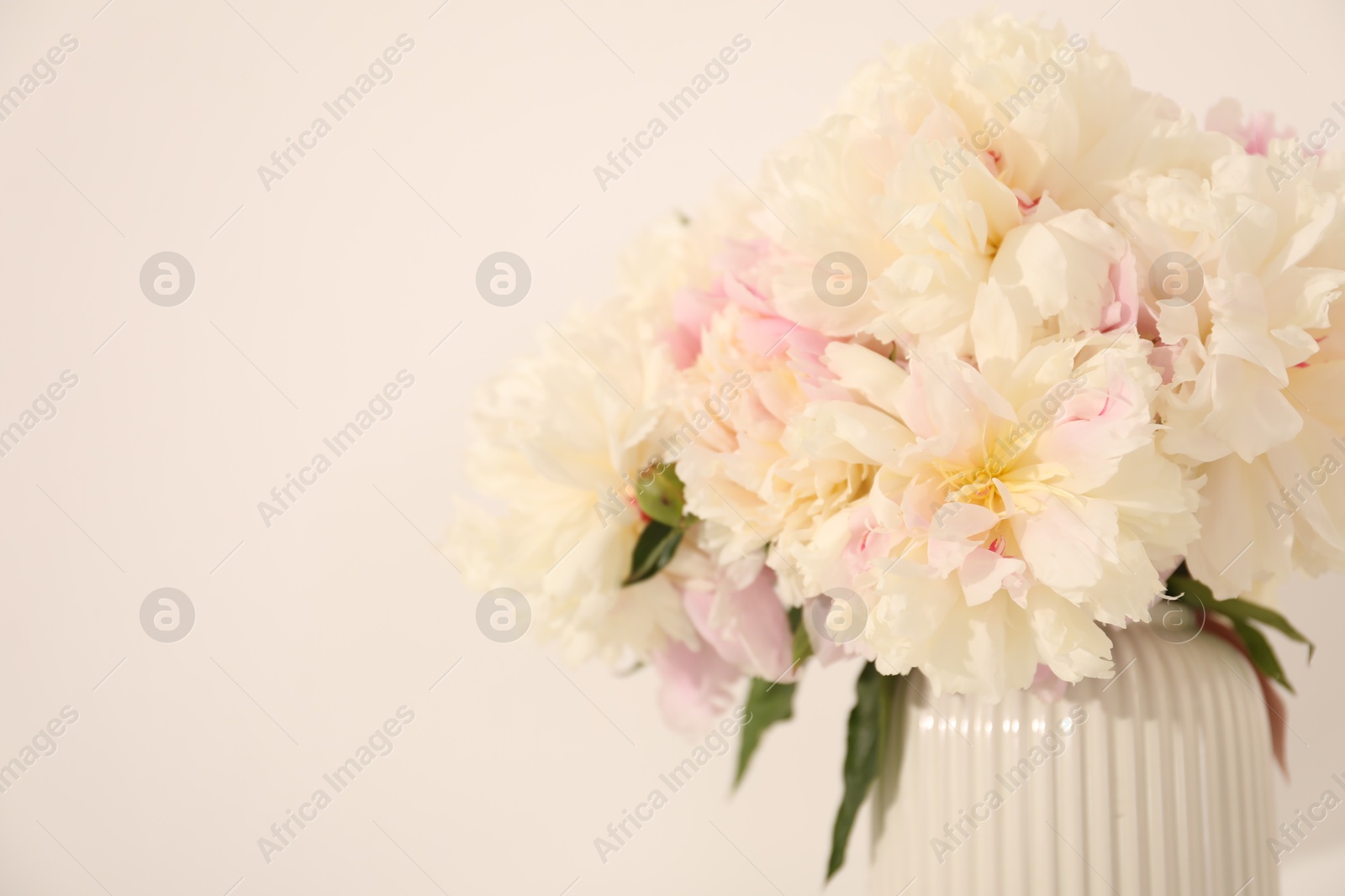 Bouquet of beautiful peonies on white background, closeup. Space for text Photo of Bouquet of beautiful peonies on white background, closeup. Space for text