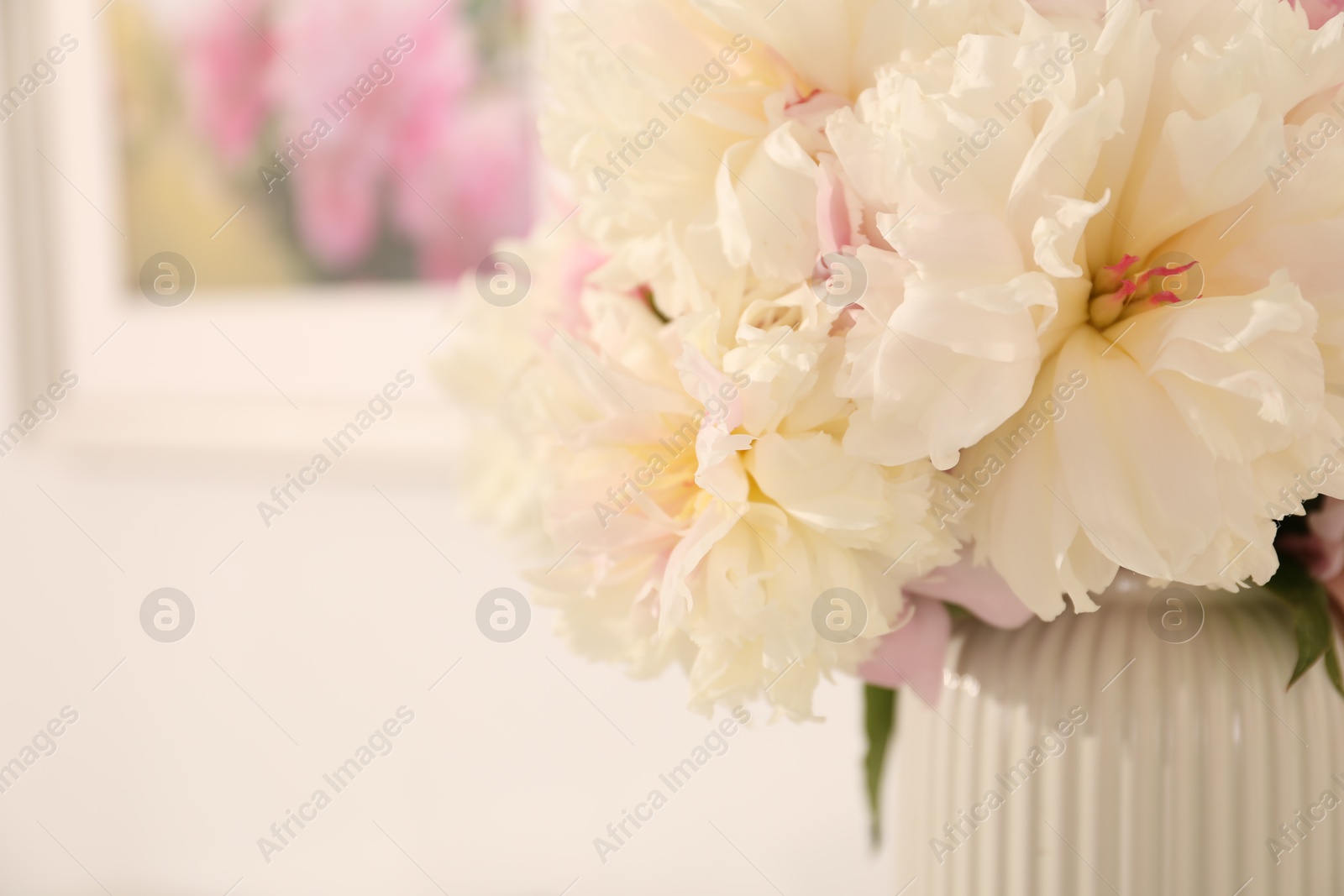 Bouquet of beautiful peonies on white background, closeup. Space for text Photo of Bouquet of beautiful peonies on white background, closeup. Space for text
