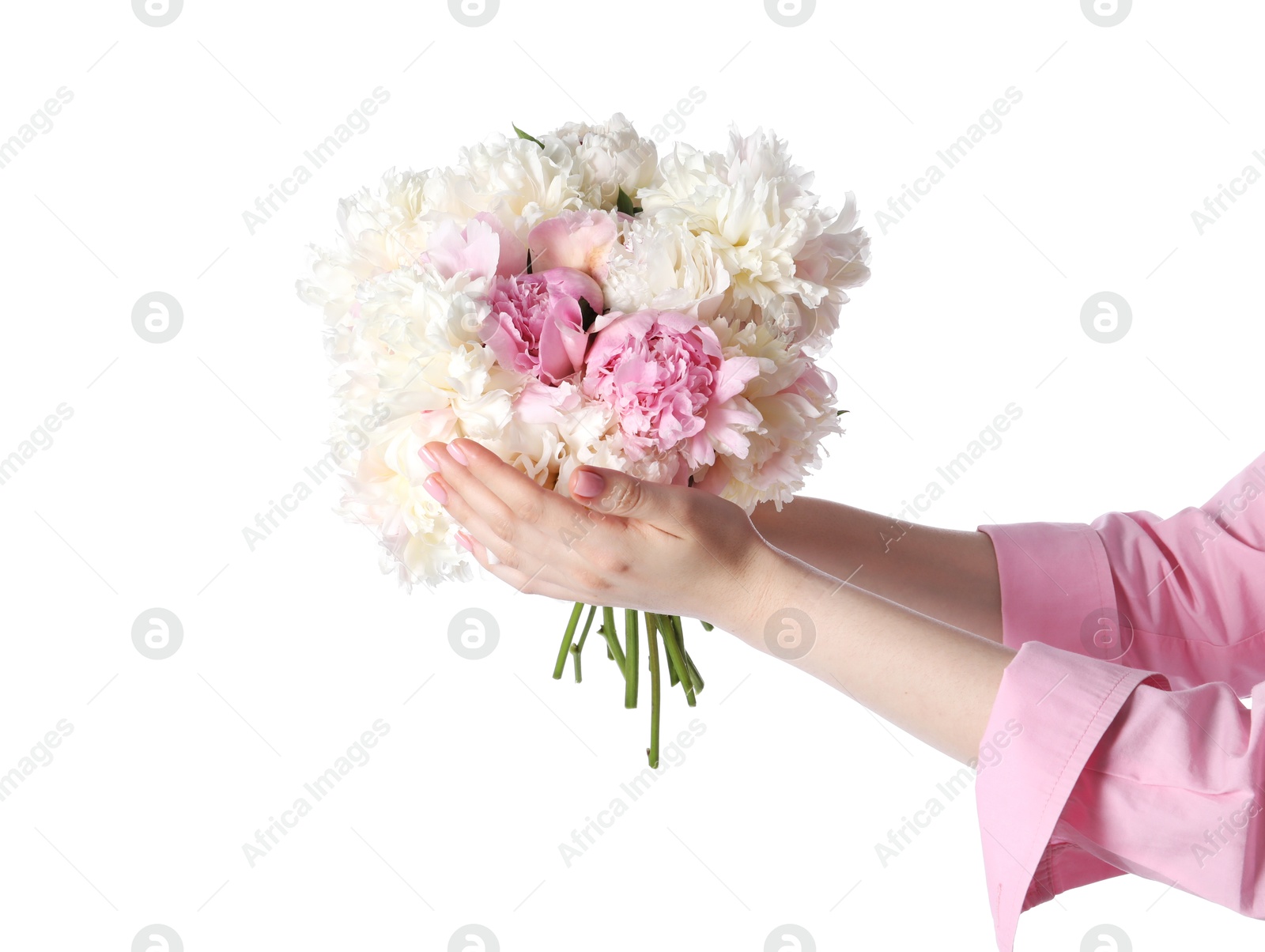 Woman with bouquet of beautiful peonies on white background, closeup Photo of Woman with bouquet of beautiful peonies on white background, closeup