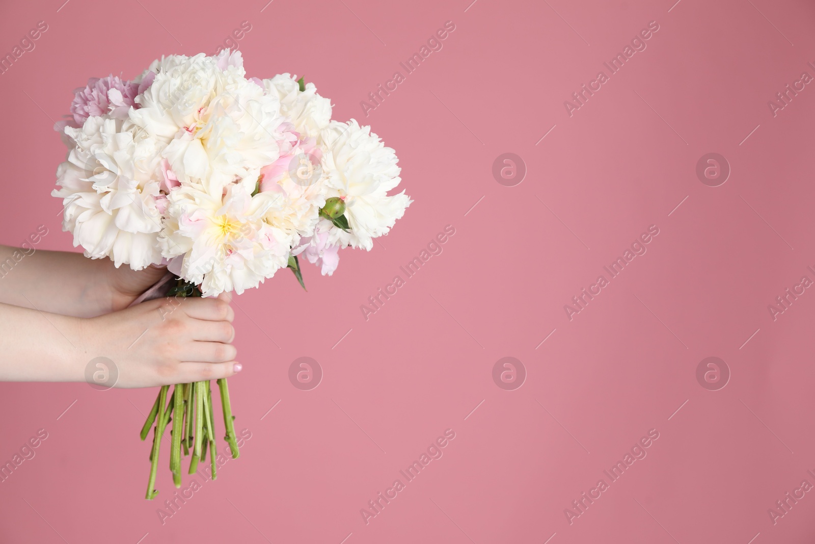 Woman with bouquet of beautiful peonies on pink background, closeup. Space for text Photo of Woman with bouquet of beautiful peonies on pink background, closeup. Space for text