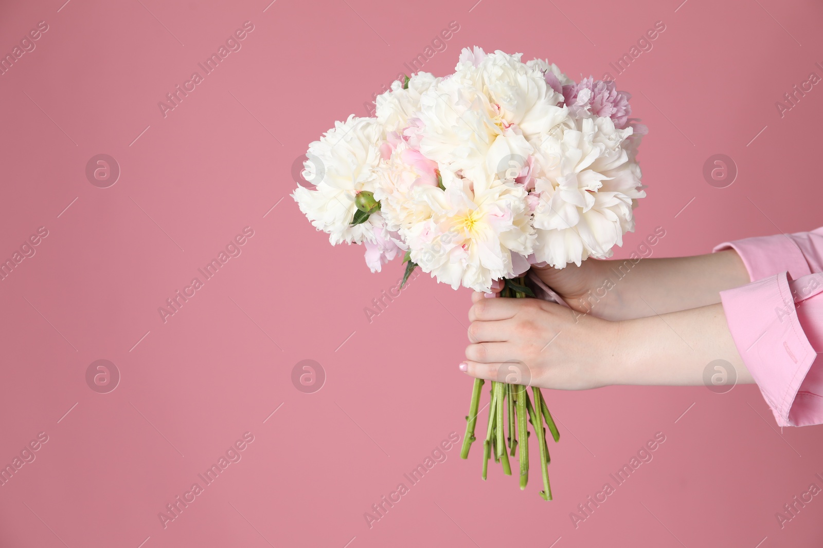 Woman with bouquet of beautiful peonies on pink background, closeup. Space for text Photo of Woman with bouquet of beautiful peonies on pink background, closeup. Space for text
