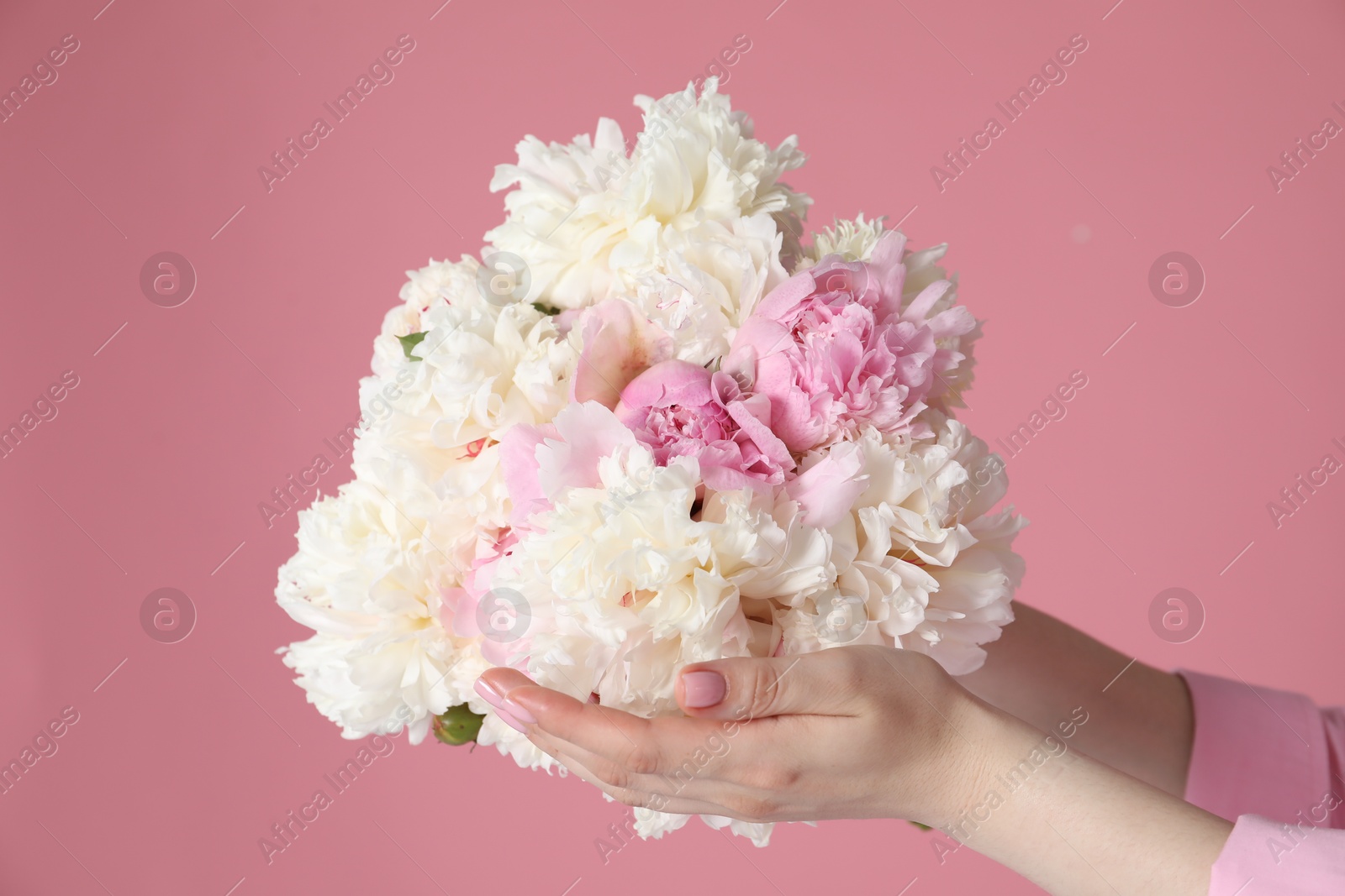 Woman with bouquet of beautiful peonies on pink background, closeup Photo of Woman with bouquet of beautiful peonies on pink background, closeup
