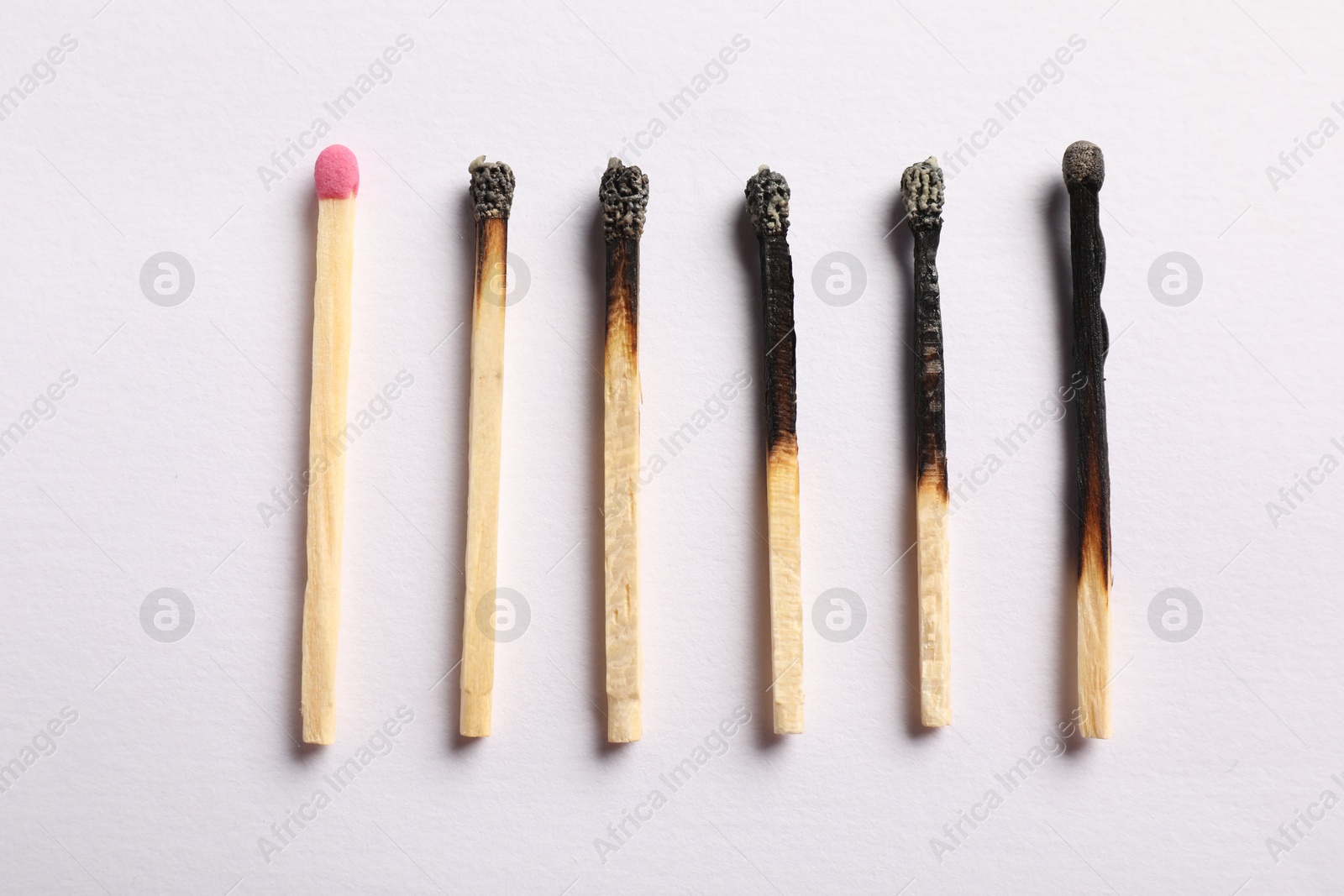 Photo of Burnt and whole matches on light grey background, flat lay