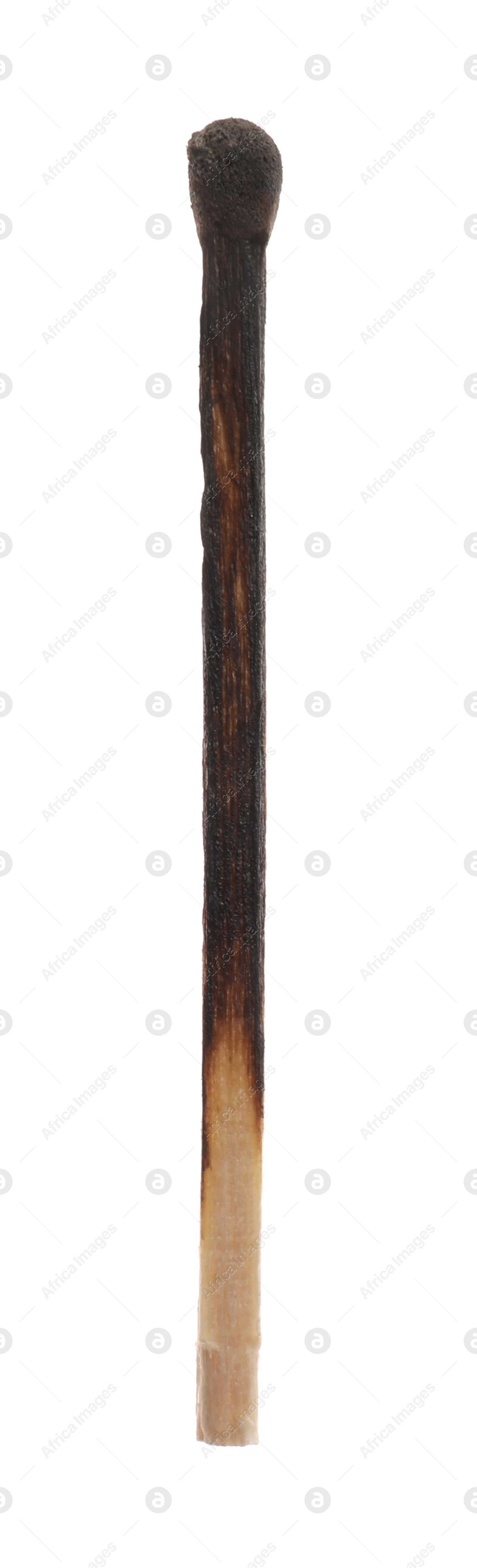 Photo of One burnt match isolated on white. Tool for starting fire
