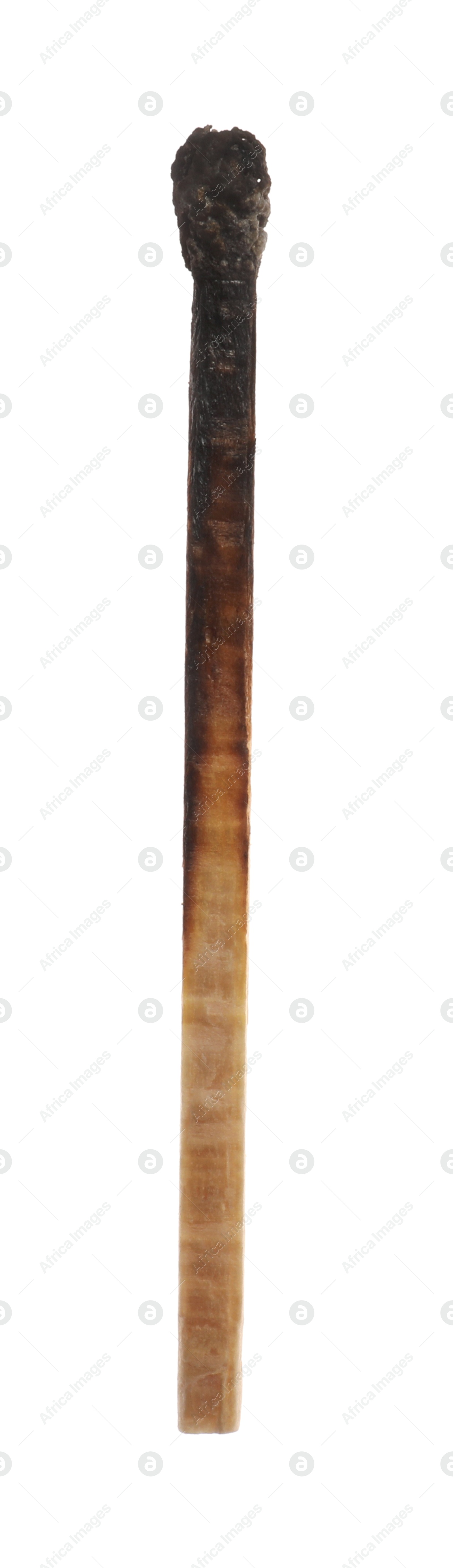 Photo of One burnt match isolated on white. Tool for starting fire