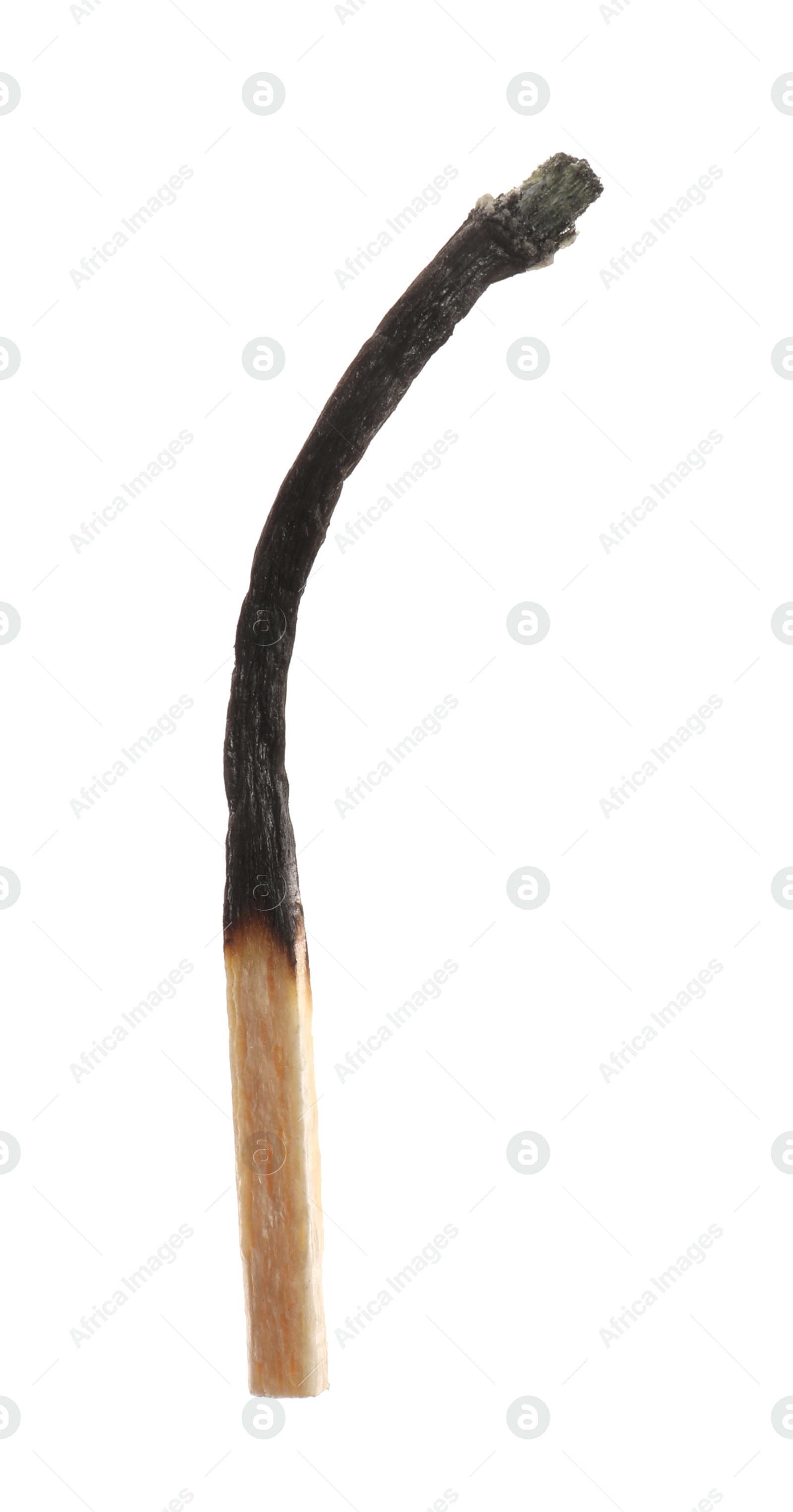 Photo of One burnt match isolated on white. Tool for starting fire