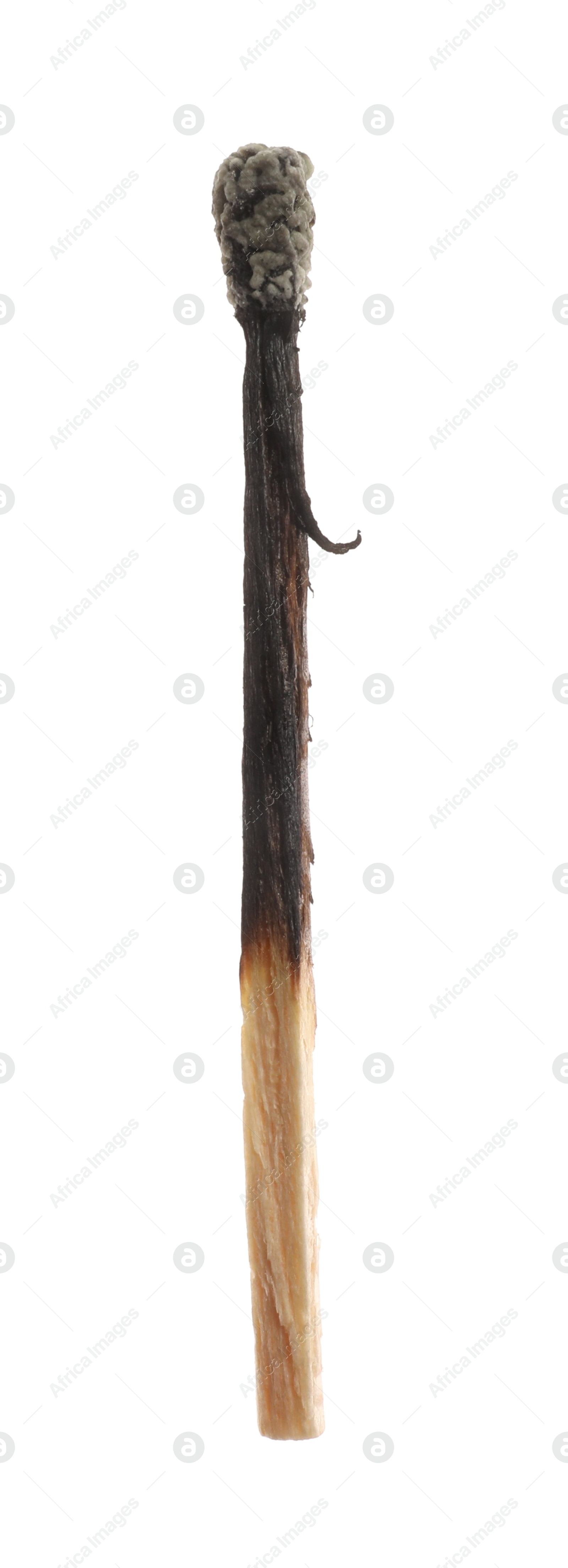 Photo of One burnt match isolated on white. Tool for starting fire