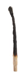 Photo of One burnt match isolated on white. Tool for starting fire