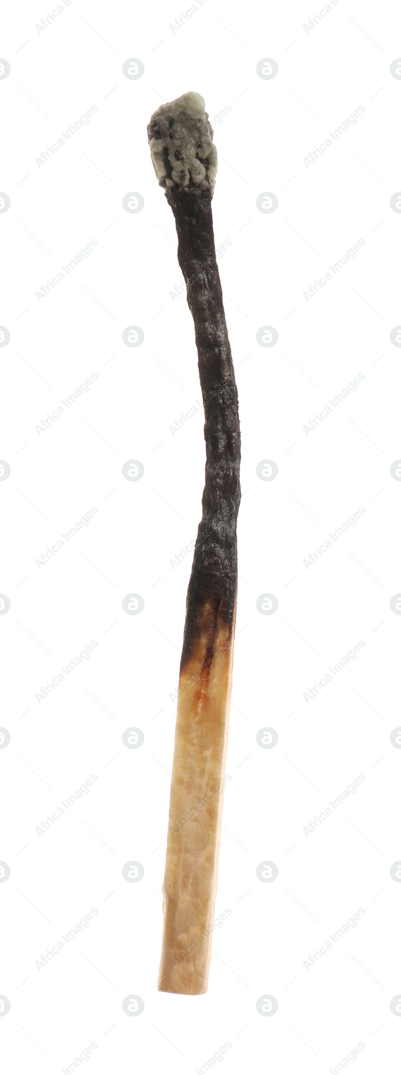One burnt match isolated on white. Tool for starting fire Photo of One burnt match isolated on white. Tool for starting fire
