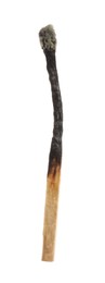 Photo of One burnt match isolated on white. Tool for starting fire