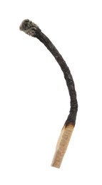 Photo of One burnt match isolated on white. Tool for starting fire
