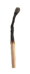 Photo of One burnt match isolated on white. Tool for starting fire