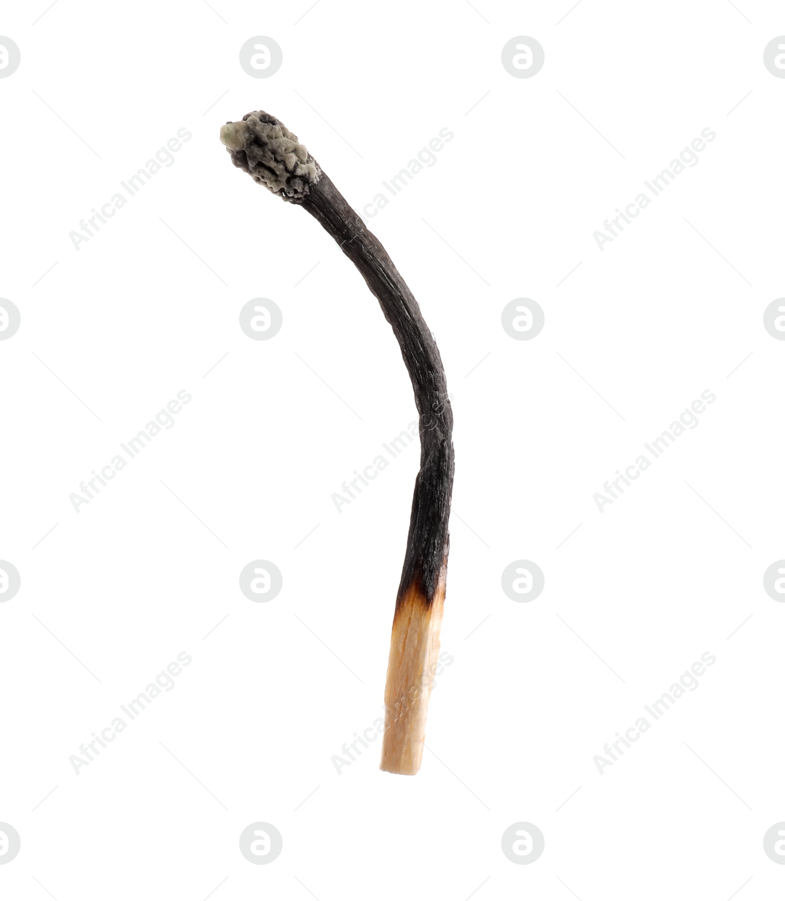 Photo of One burnt match isolated on white. Tool for starting fire