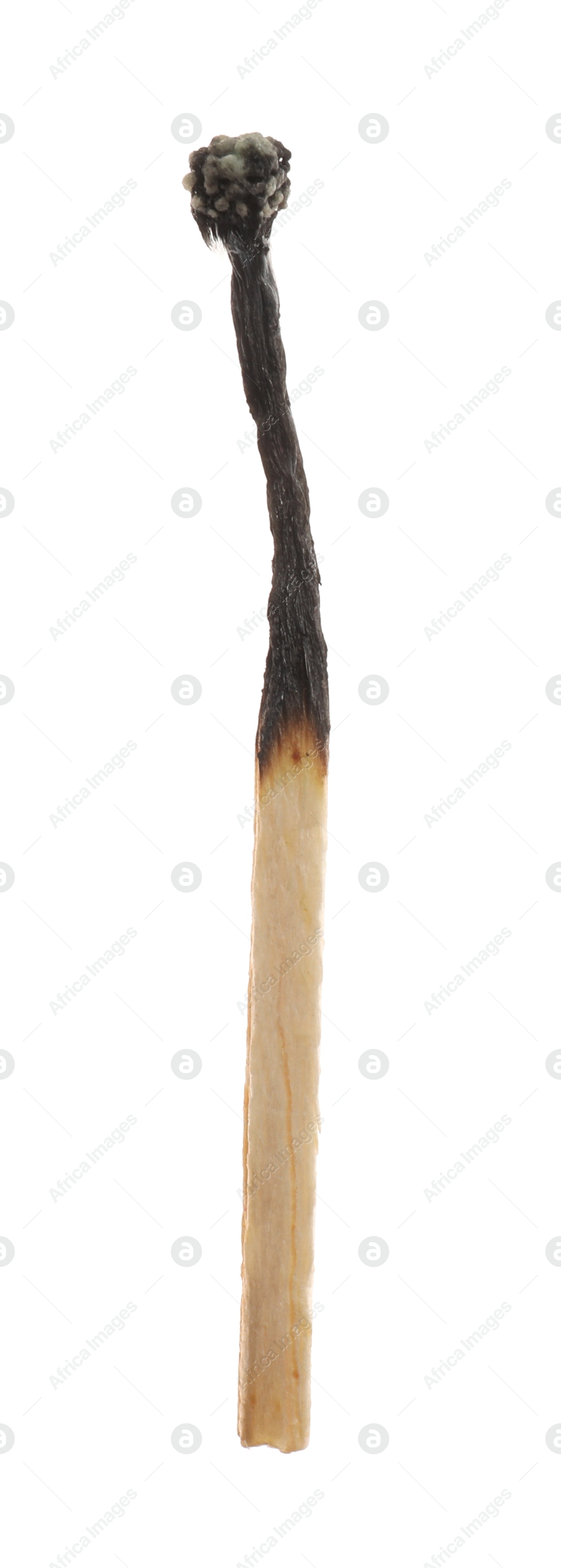 Photo of One burnt match isolated on white. Tool for starting fire