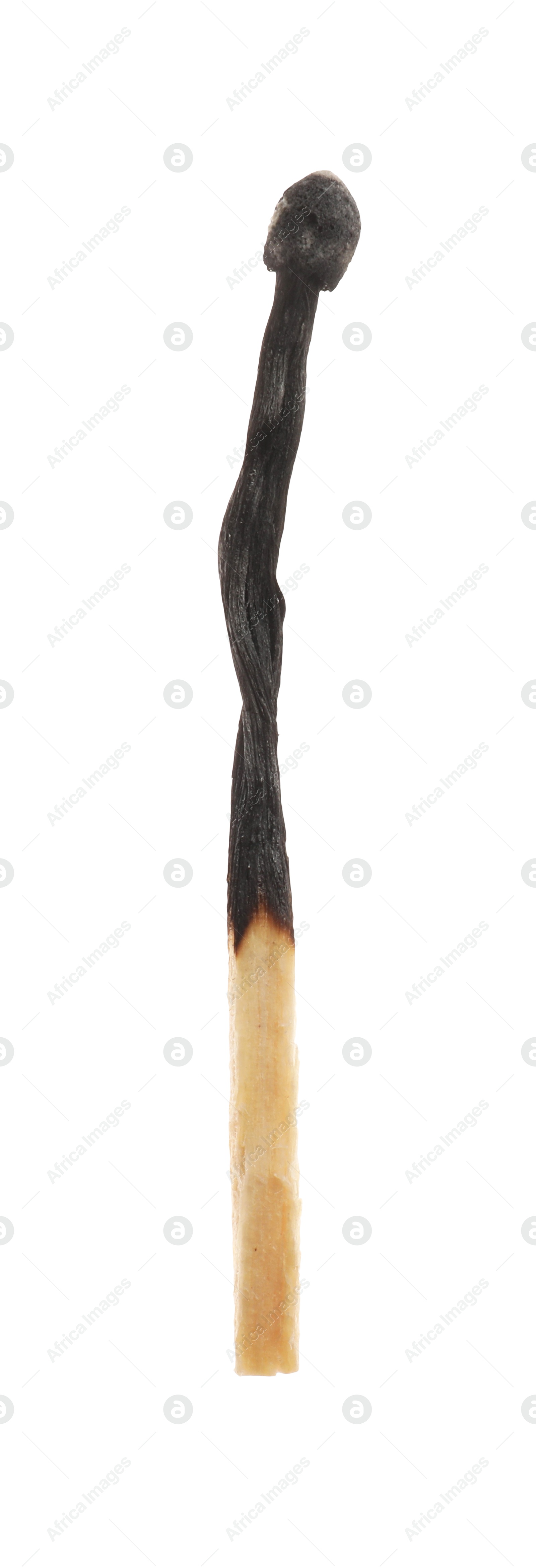 Photo of One burnt match isolated on white. Tool for starting fire