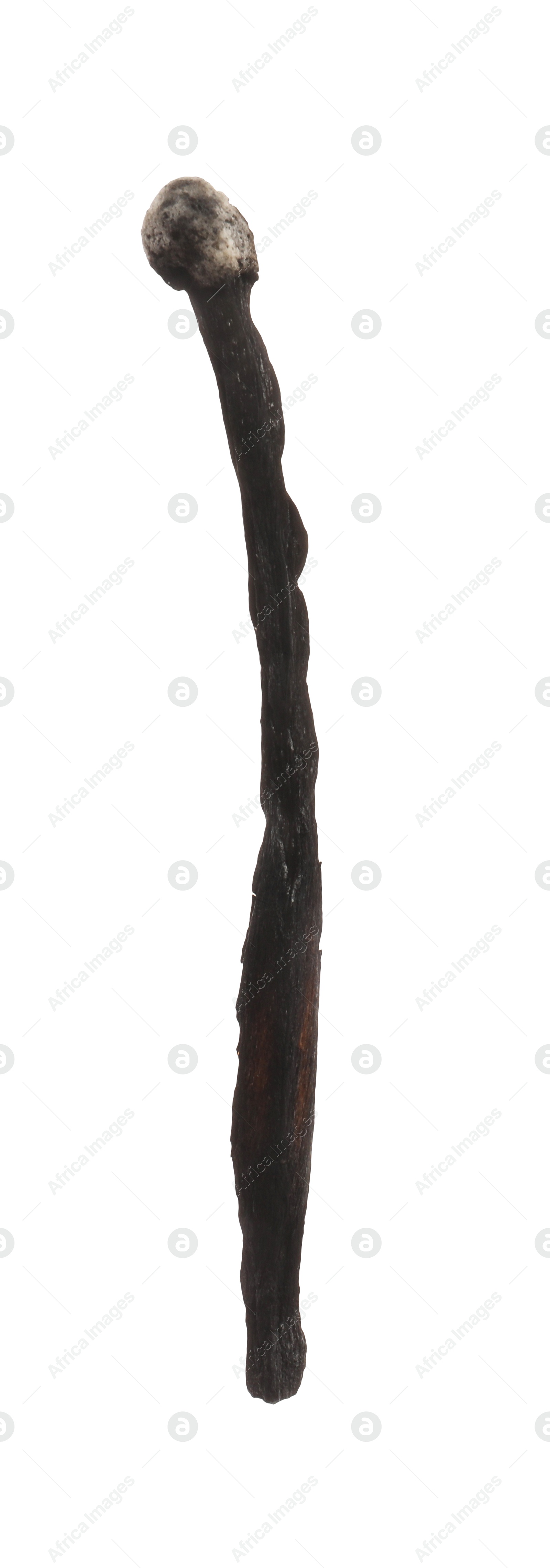 Photo of One burnt match isolated on white. Tool for starting fire