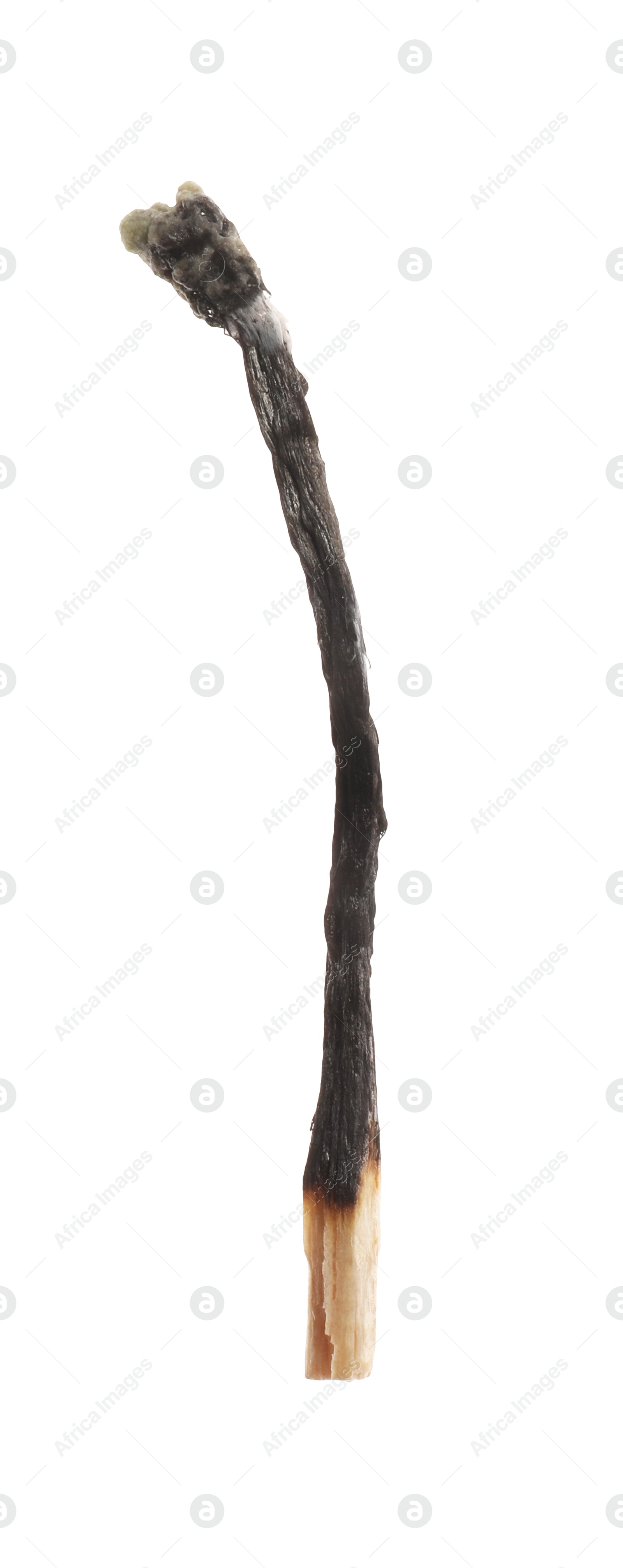 One burnt match isolated on white. Tool for starting fire Photo of One burnt match isolated on white. Tool for starting fire