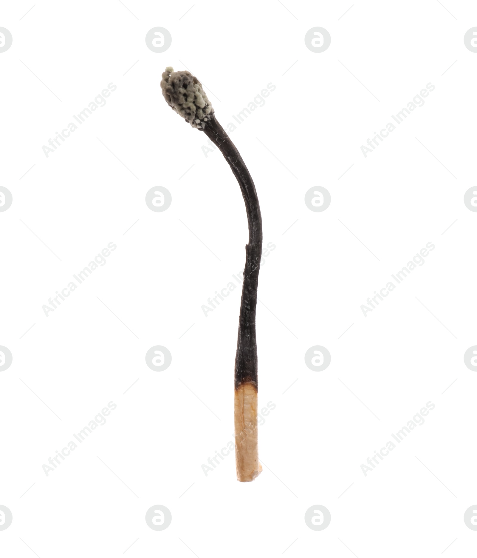 Photo of One burnt match isolated on white. Tool for starting fire
