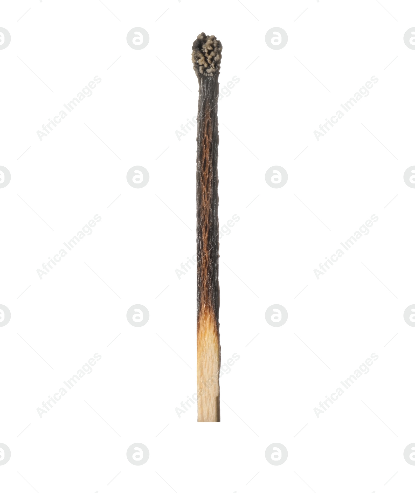 Photo of One burnt match isolated on white. Tool for starting fire