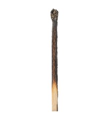Photo of One burnt match isolated on white. Tool for starting fire