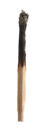 Photo of One burnt match isolated on white. Tool for starting fire