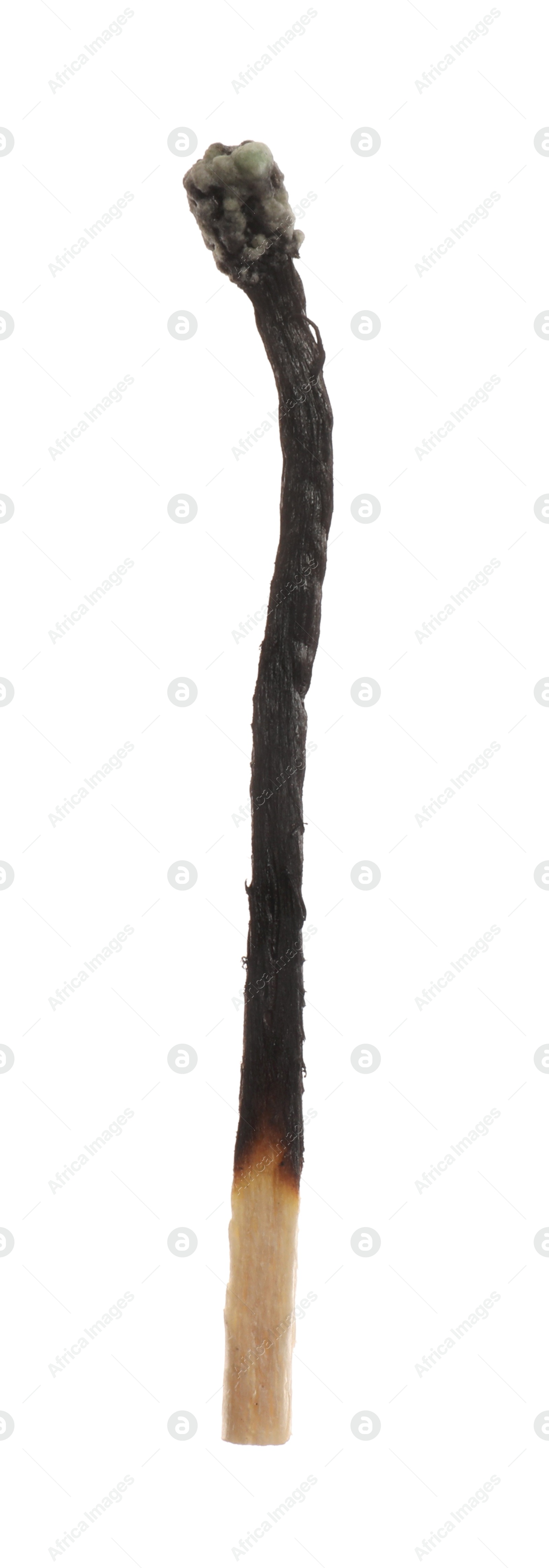 Photo of One burnt match isolated on white. Tool for starting fire