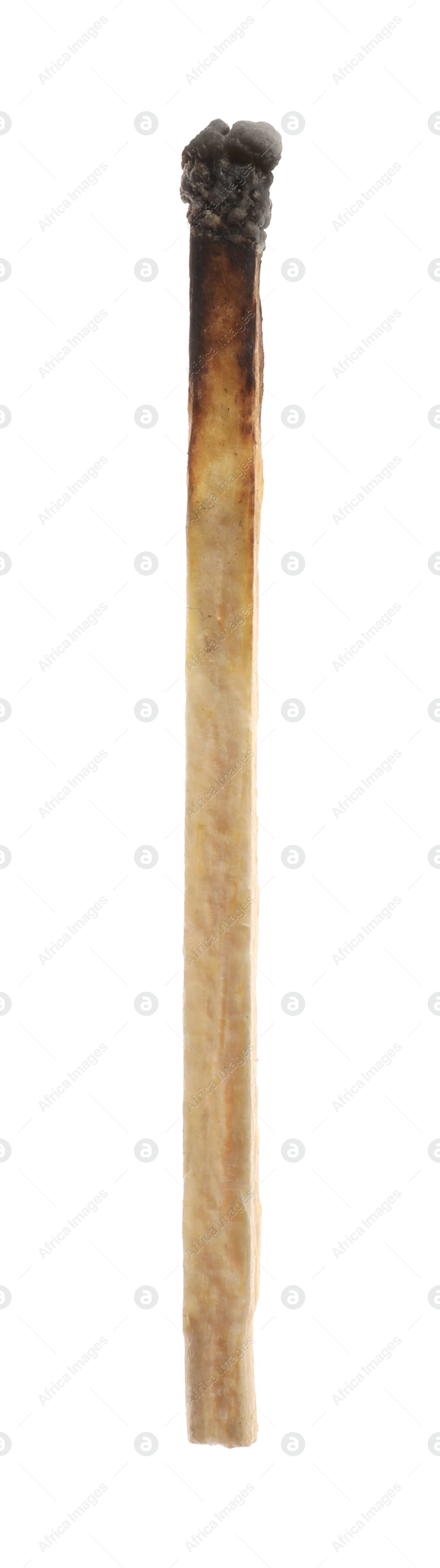 Photo of One burnt match isolated on white. Tool for starting fire