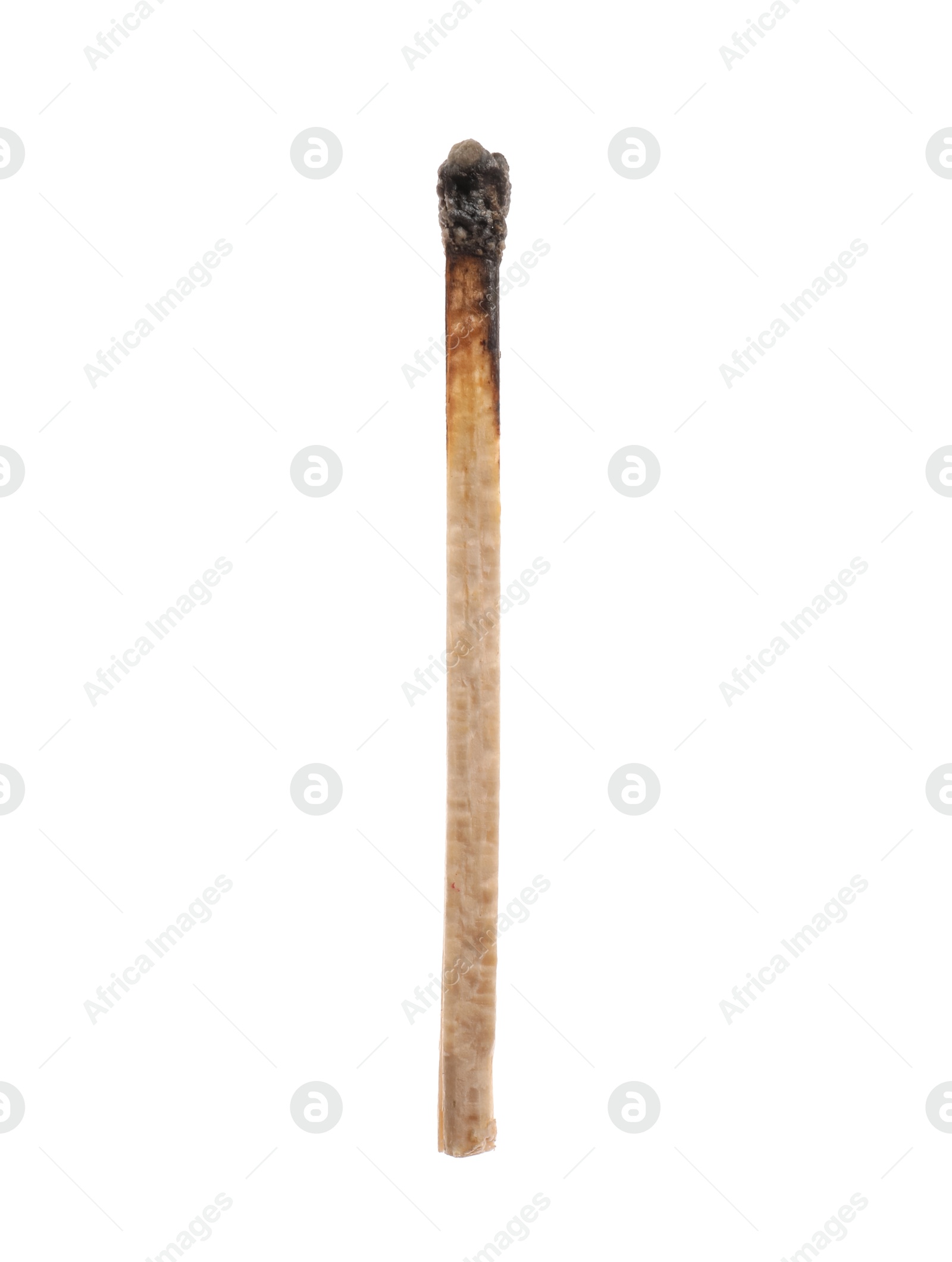 Photo of One burnt match isolated on white. Tool for starting fire