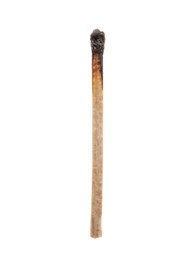 Photo of One burnt match isolated on white. Tool for starting fire