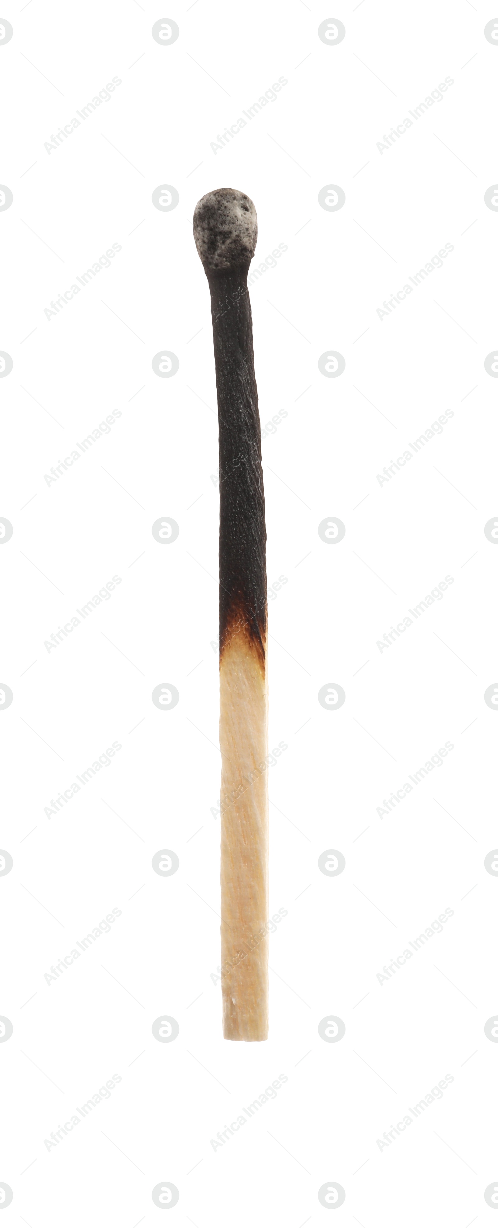 Photo of One burnt match isolated on white. Tool for starting fire