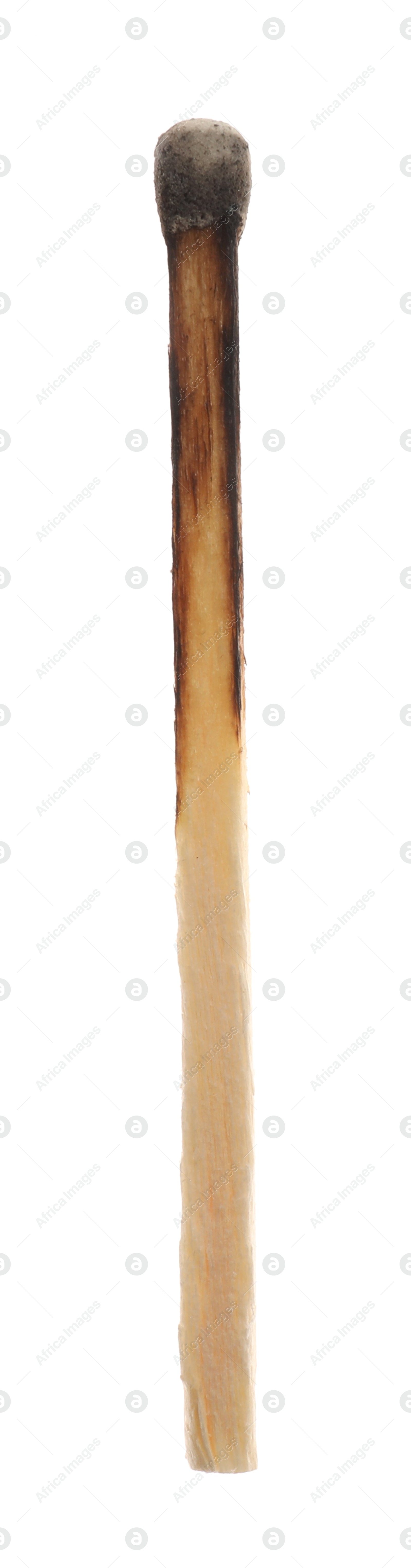Photo of One burnt match isolated on white. Tool for starting fire