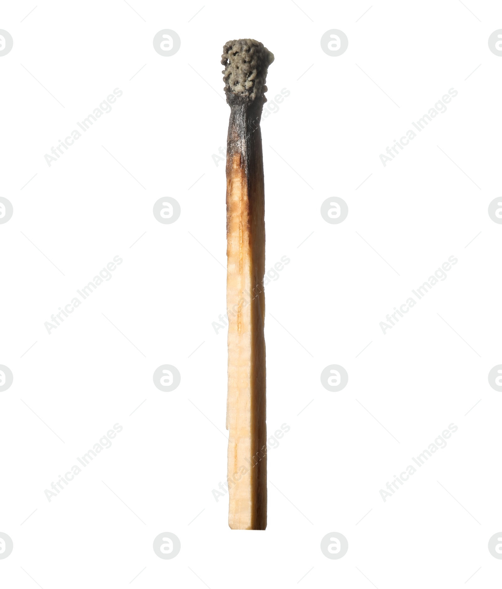 Photo of One burnt match isolated on white. Tool for starting fire