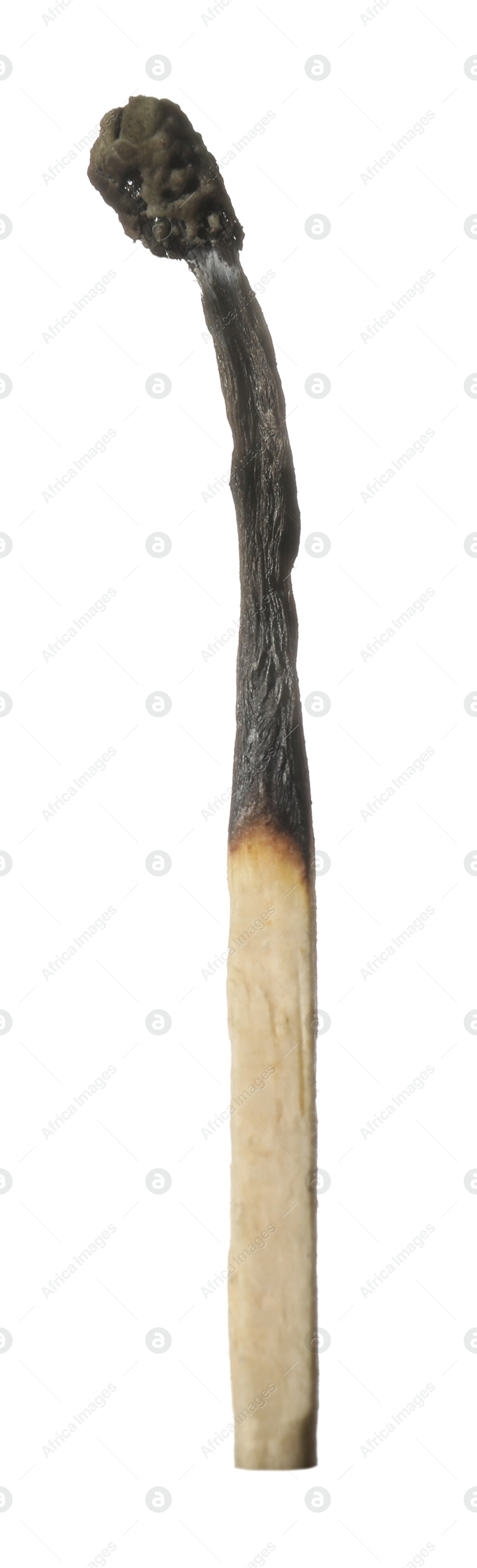 One burnt match isolated on white. Tool for starting fire Photo of One burnt match isolated on white. Tool for starting fire