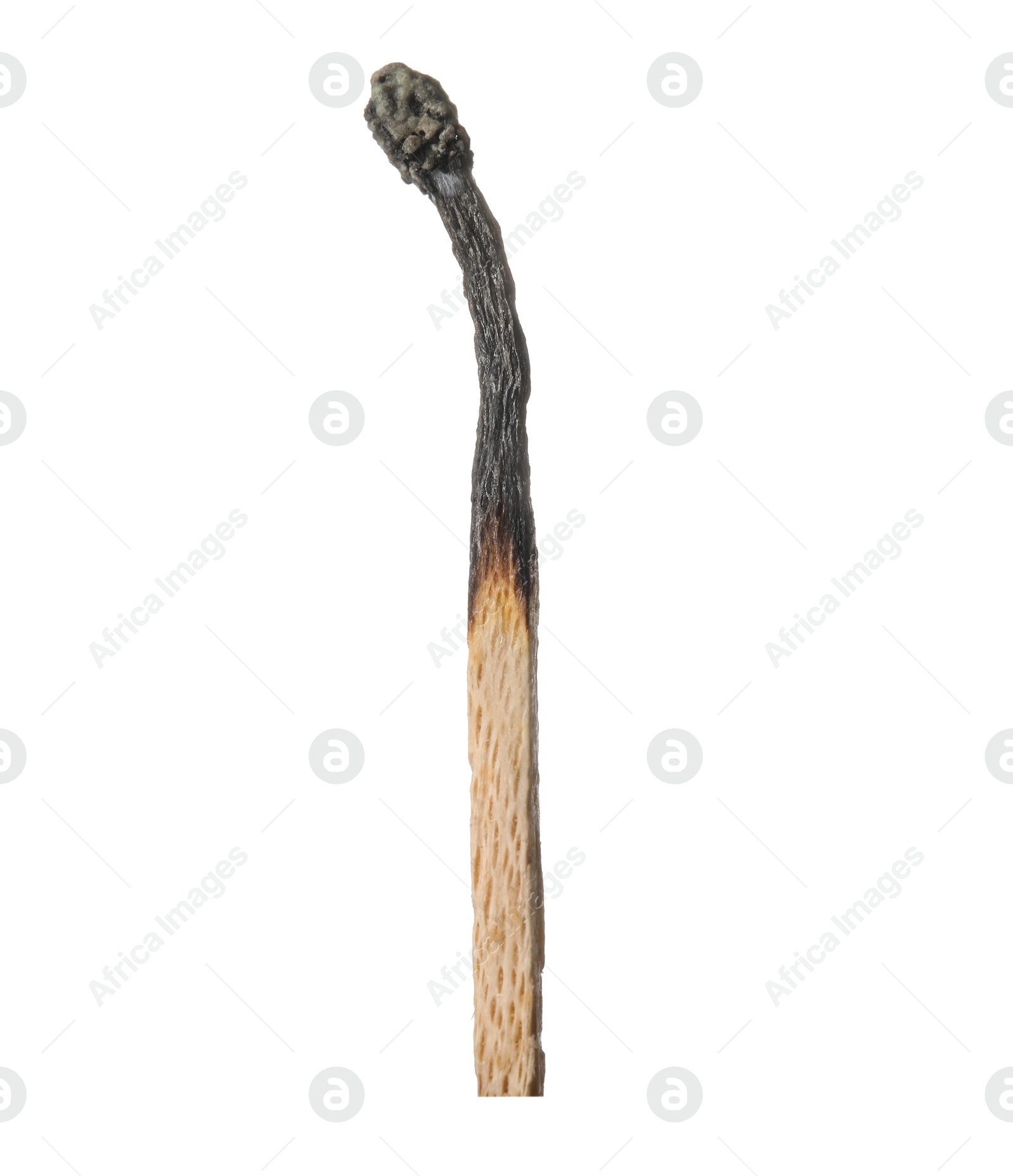One burnt match isolated on white. Tool for starting fire Photo of One burnt match isolated on white. Tool for starting fire