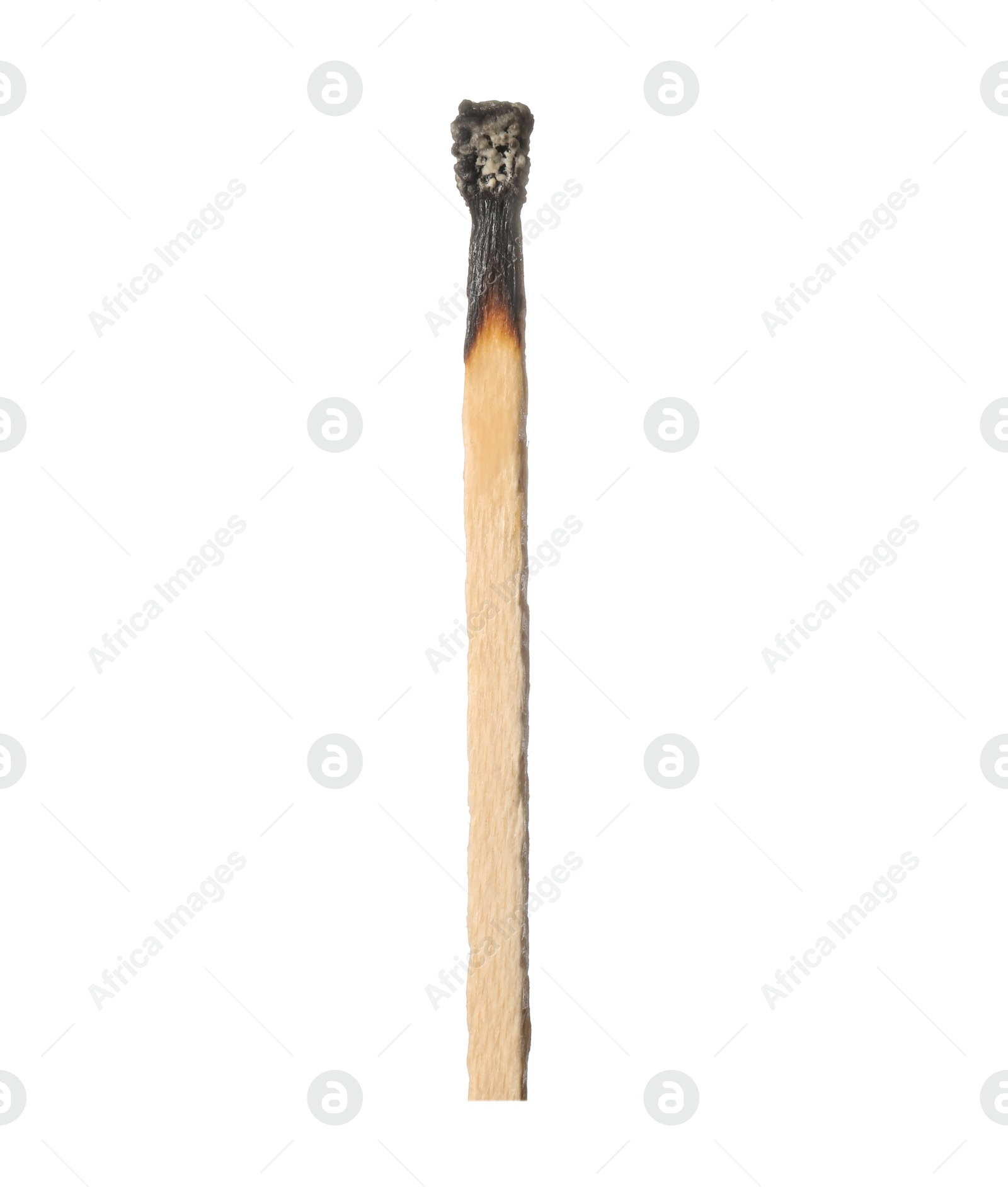 One burnt match isolated on white. Tool for starting fire Photo of One burnt match isolated on white. Tool for starting fire