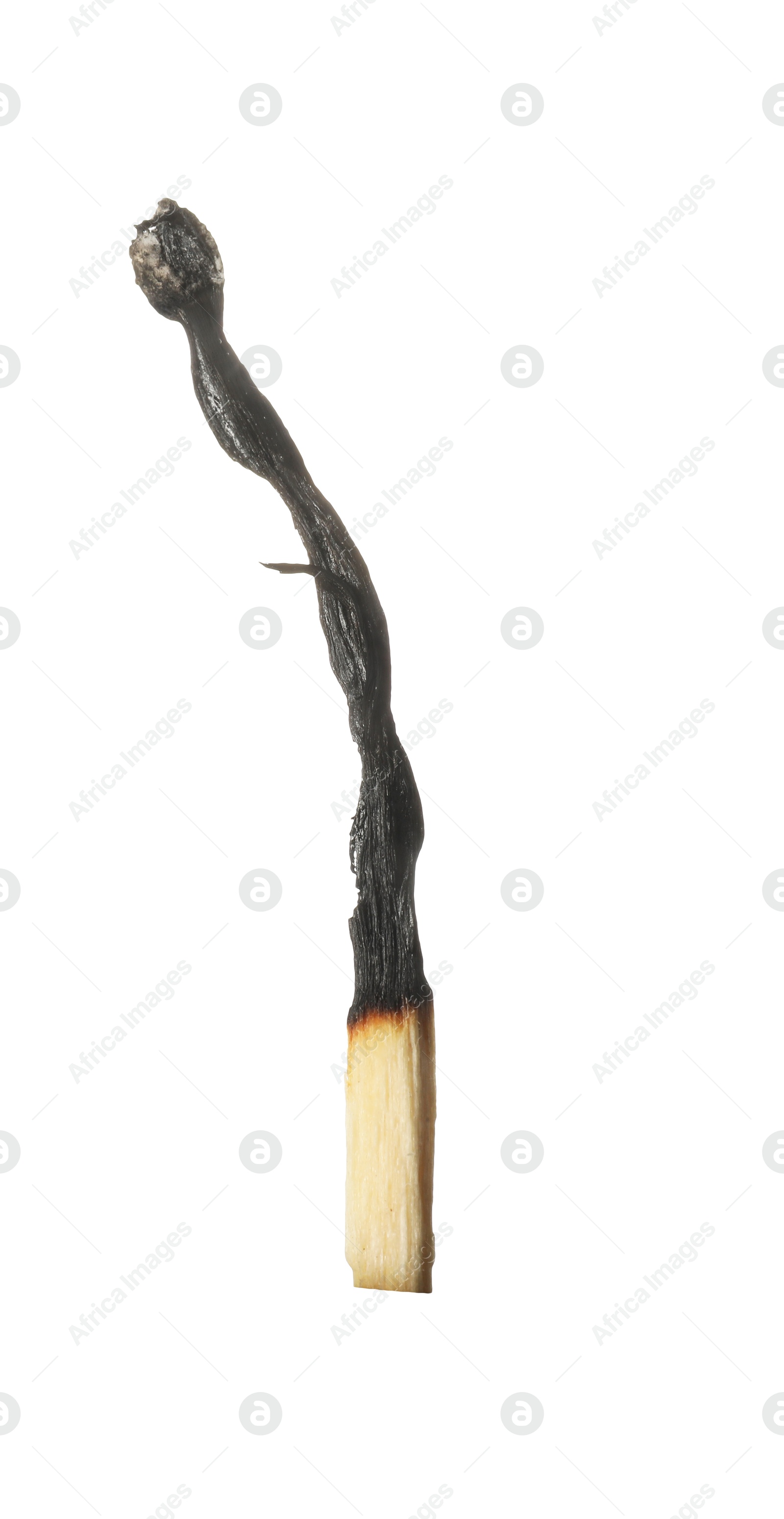 One burnt match isolated on white. Tool for starting fire Photo of One burnt match isolated on white. Tool for starting fire