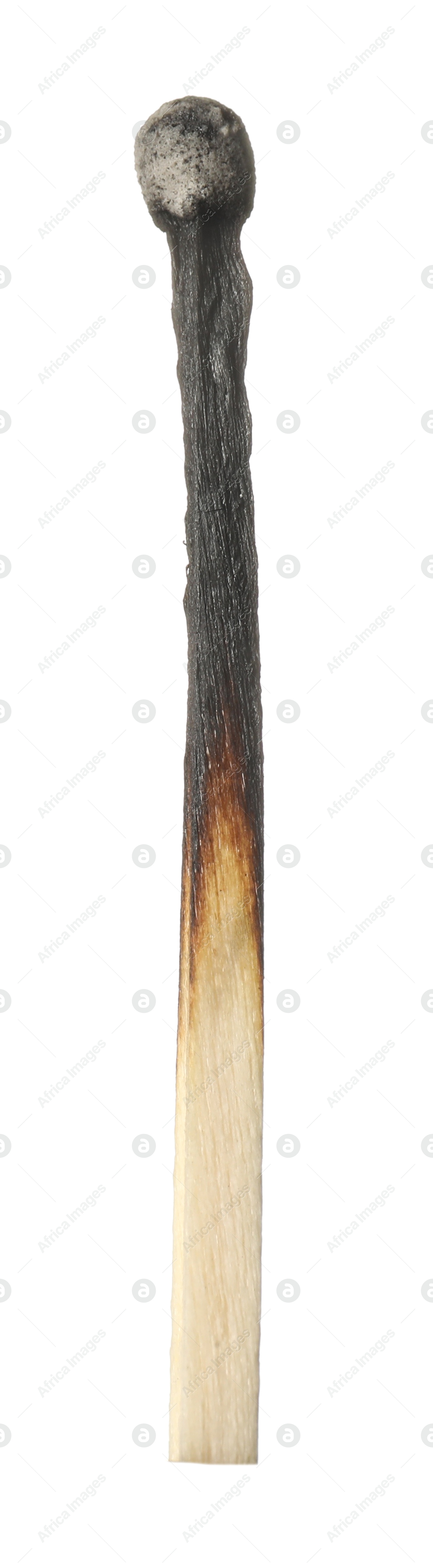 One burnt match isolated on white. Tool for starting fire Photo of One burnt match isolated on white. Tool for starting fire