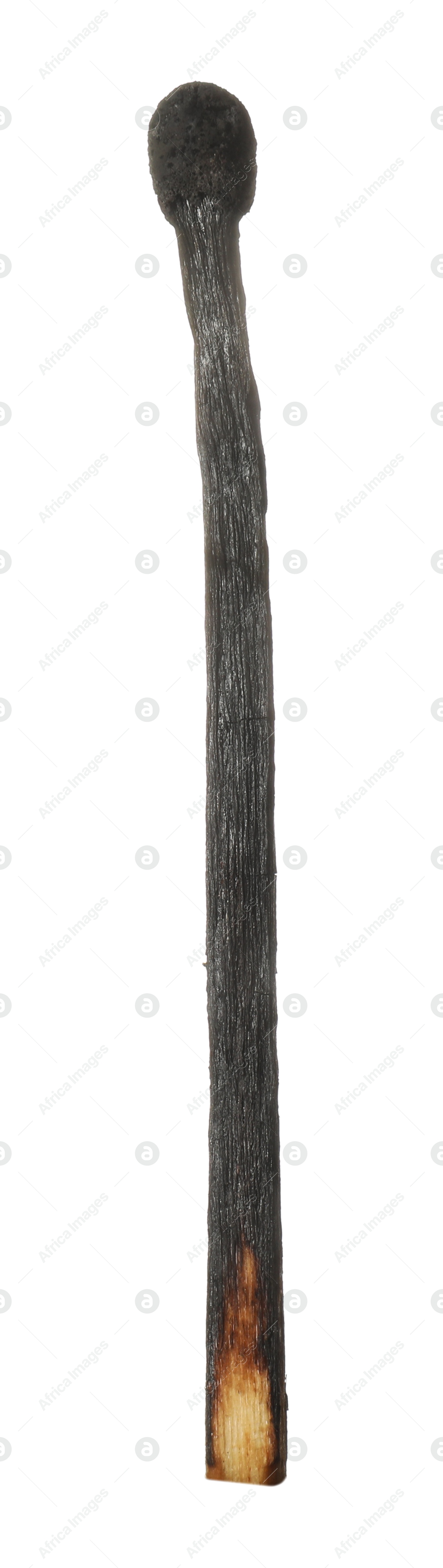 One burnt match isolated on white. Tool for starting fire Photo of One burnt match isolated on white. Tool for starting fire