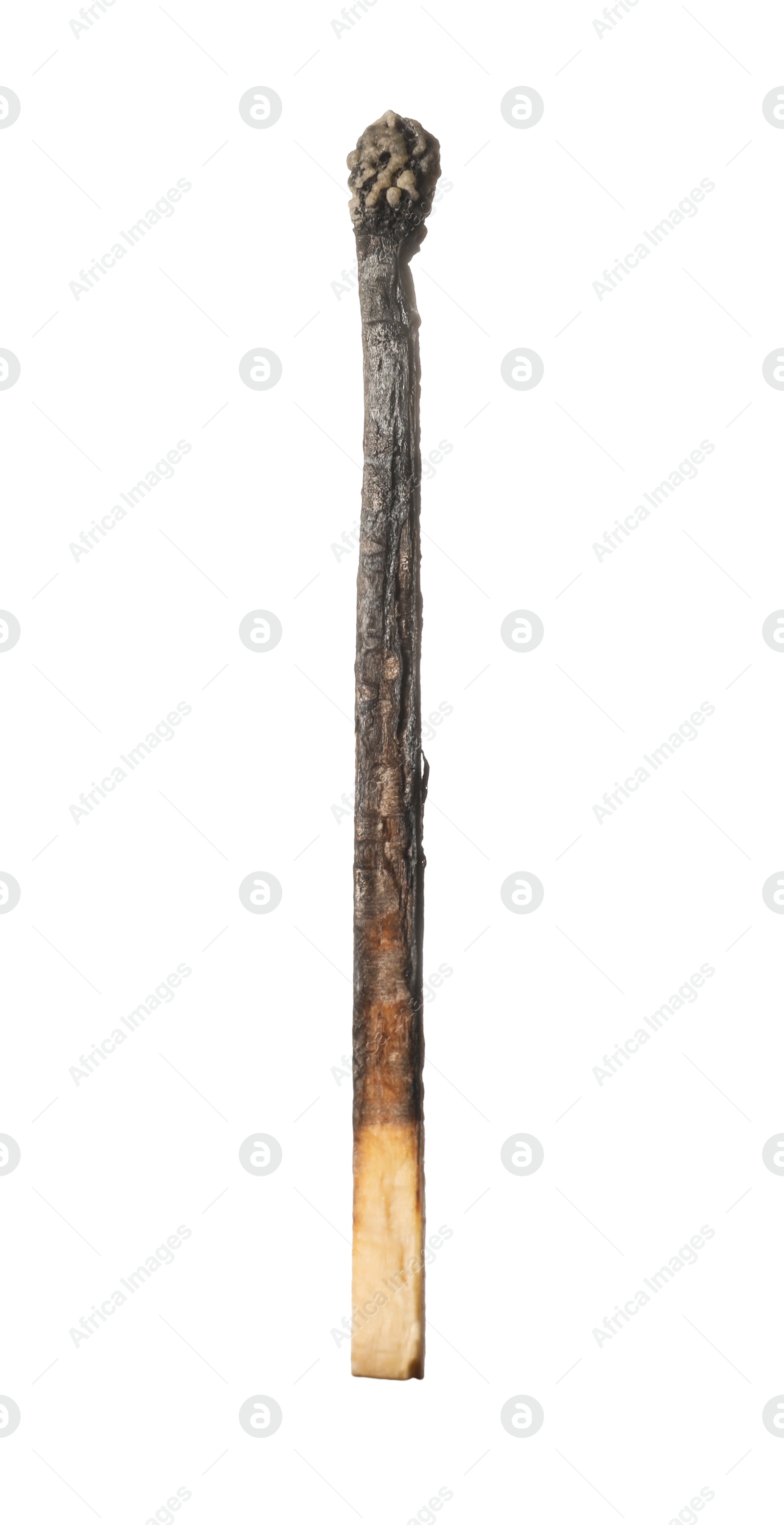 One burnt match isolated on white. Tool for starting fire Photo of One burnt match isolated on white. Tool for starting fire
